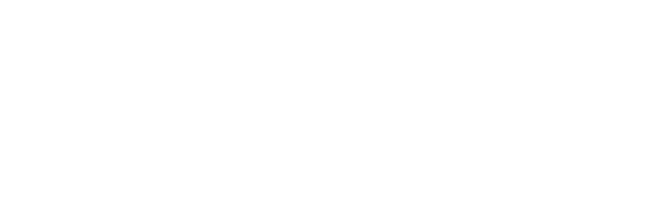 Plateform Logo